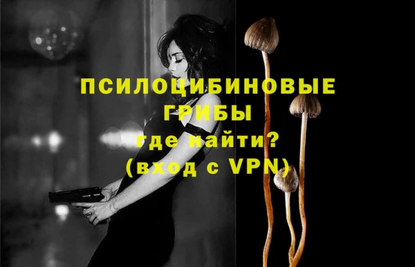 стаф Вяземский