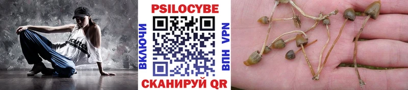 маркетплейс Telegram купить сайты MEGA как зайти Калтан Галлюциногенные грибы мухоморы
